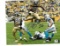 Le'veon Bell Pittsburgh Steelers Autographed 8x10 Bee Photo Pic w/GA coa