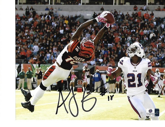 A.J. Green Cincinnati Bengals Autographed 8x10 Falling Back Catch Photo w/GA coa