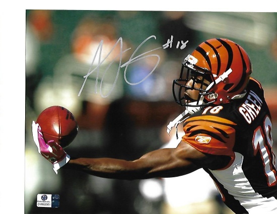 A.J. Green Cincinnati Bengals Autographed 8x10 One Handed Catch Photo w/GA coa - 3