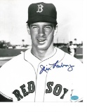 Jim Lonborg Boston Red Sox Autographed 8x10 Portrait Photo w/ManCave Autographs coa