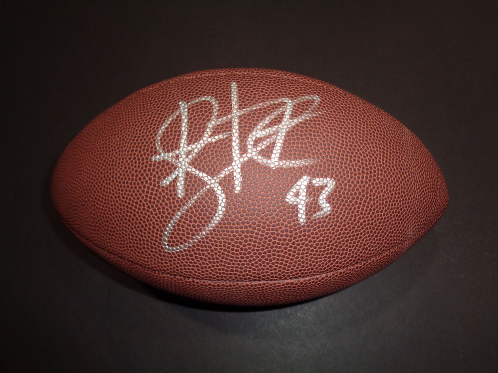 Troy Polamalu Pittsburgh Steelers Autographed Wilson Football 