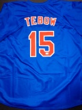 Tim Tebow New York Mets Autographed Custom Blue Baseball Style Jersey w/GA coa