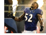 Ray Lewis Baltimore Ravens Autographed 8x10 Photo GA coa