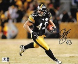 Troy Polamalu Pittsburgh Steelers Autographed 8x10 Photo GA coa