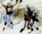 Jermaine Wiggins New England Patriots Autographed & Ins 8x10 Photo coa