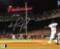 David Ortiz Boston Red Sox Autographed 8x10 Photo coa