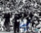 Terry Hanratty Notre Dame Fighting Irish Autographed 8x10 Photo Hologram