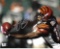 A.J. Green Cincinnati Bengals Autographed 8x10 Photo coa