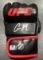 Conor McGregor UFC Autographed UFC 6oz. MMA Glove coa
