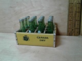 Canada Dry Complete Miniature 12 Pack Wooden Rack