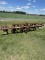 5 row rolling cultivator