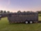 Delta livestock 20ft trailer