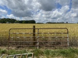 12ft gate