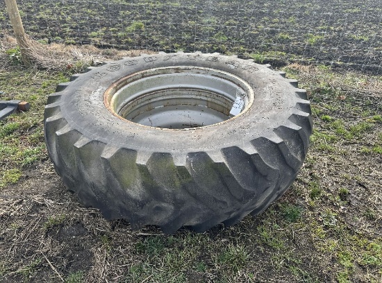 Tractor tire and rim