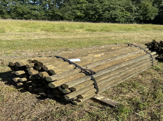 100 treated wood posts (7 ft long)
