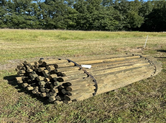 101 treated wood posts (7 ft long)