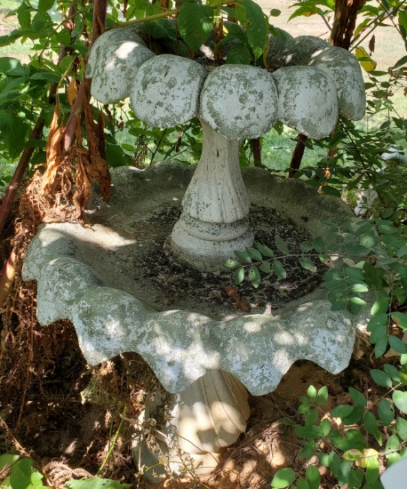 Concrete Bird Bath