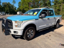 2016 Ford F-150 Pickup Truck, VIN # 1FTEW1EF1GFB29895
