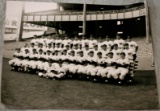 1951 New York Yankees Team Photo - Originnal - MICKEY MANTLE ROOKIE!  Extremely RARE! One of one!