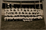 1960 New York Yankee Team Photo - Original - Mantle, Maris & Berra +