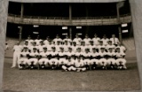 1959/60 New York Yankee Team Photo - Original 16X20 - Mantle & Maris