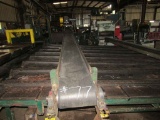 20' Belt conveyor to Edger 12