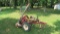 NH Sickle Mower