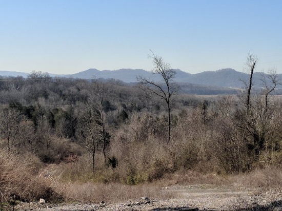 Real Estate Auction 291 Acres Nashville, TN