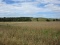 SALE 4 - Approx. 29.14 Acres Unimproved Land