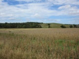 SALE 4 - Approx. 29.14 Acres Unimproved Land
