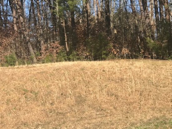 ABSOLUTE -Lot 11 - 644 Berrywood Drive, Maryville, TN., Ashwood Park Villas