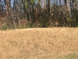 ABSOLUTE -Lot 12 - 641 Berrywood Drive, Maryville, TN., Ashwood Park Villas