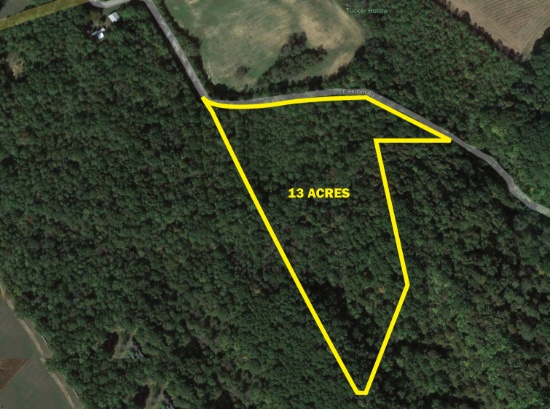 Approx. 13.08 Acres, Mostly Wooded
