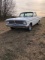 1965 Ford Ranchero