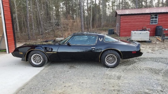 1981 Pontiac Trans Am Firebird