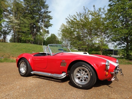 2007 Homemade 1966 Cobra Replica by Shamrock