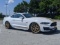 2019 Ford Mustang GT-Heritage Edition