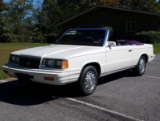 1986 Dodge 600 LE