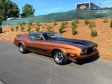 1973 Ford Mustang Mach 1