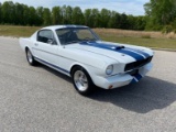 1965 Ford Mustang GT350 Shelby Tribute
