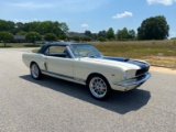 1966 Ford Mustang GT350 Tribute