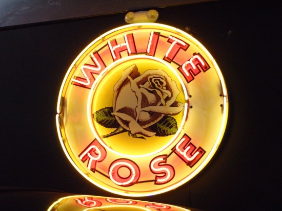 0 White Rose  Neon