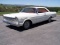 1965 Ford Galaxie 500