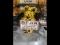 Original Bear Wheel Alignment Sign
