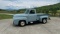 1954 Ford F100