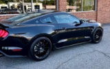 2023 Ford Shelby