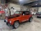 1973 Volkswagen Thing
