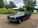 1966 Ford Mustang  GT