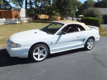 1998 Ford Mustang SVT Cobra