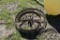 pair of antique metal wagon wheels